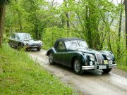 Jaguar Club Italia 2010 (89/161)